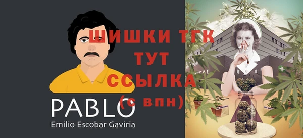 прущие крисы Кулебаки