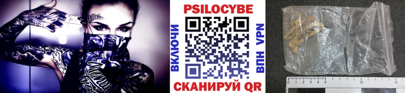 купить Радужный Псилоцибиновые грибы MAGIC MUSHROOMS