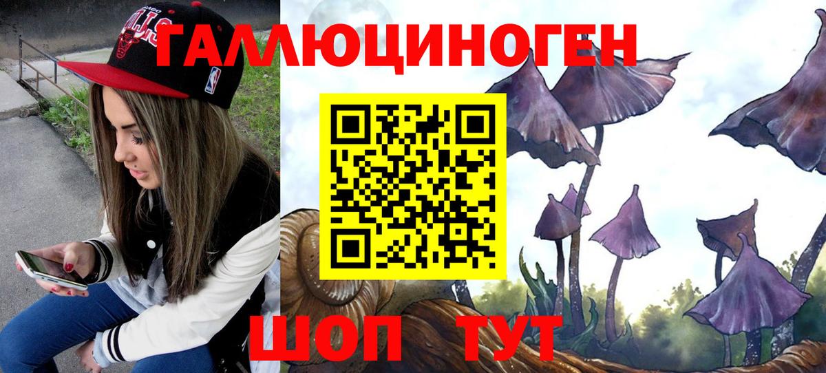 купить наркотики сайты  Галлюциногенные грибы Psilocybine cubensis  Вход с VPN  Радужный  Галлюциногенные грибы ЛСД 
